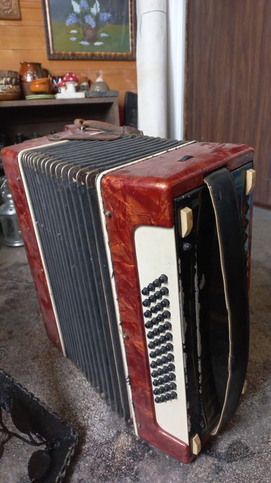 Acordeon romanesc Timis