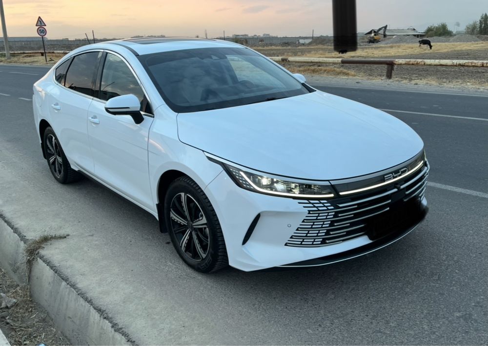 BYD Chazor 120 full