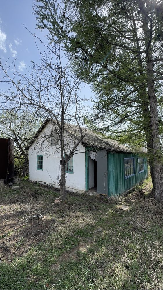 Продаёться дача 12 соток общество «Оптимист» по Павлодарской трассе.