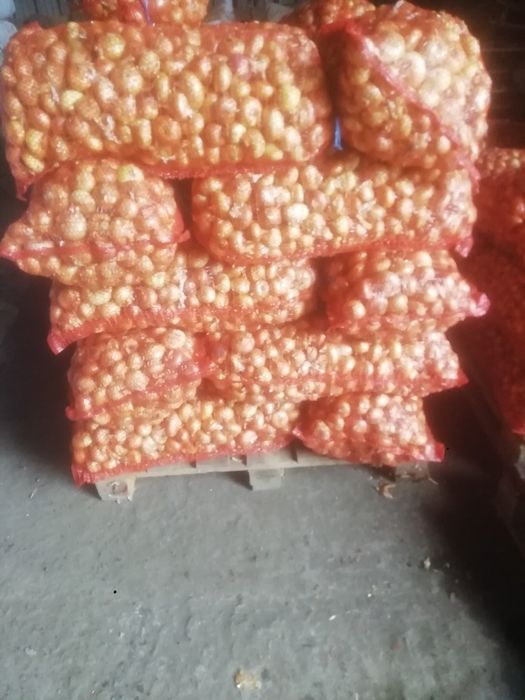Продавам сух лук