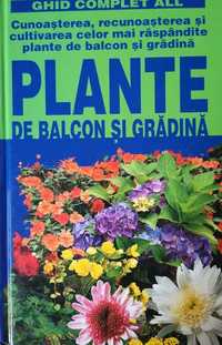 Plante de balcon si gradina - Ghid Complet