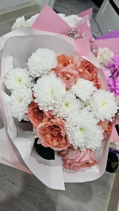 Продам цветы хризантемы