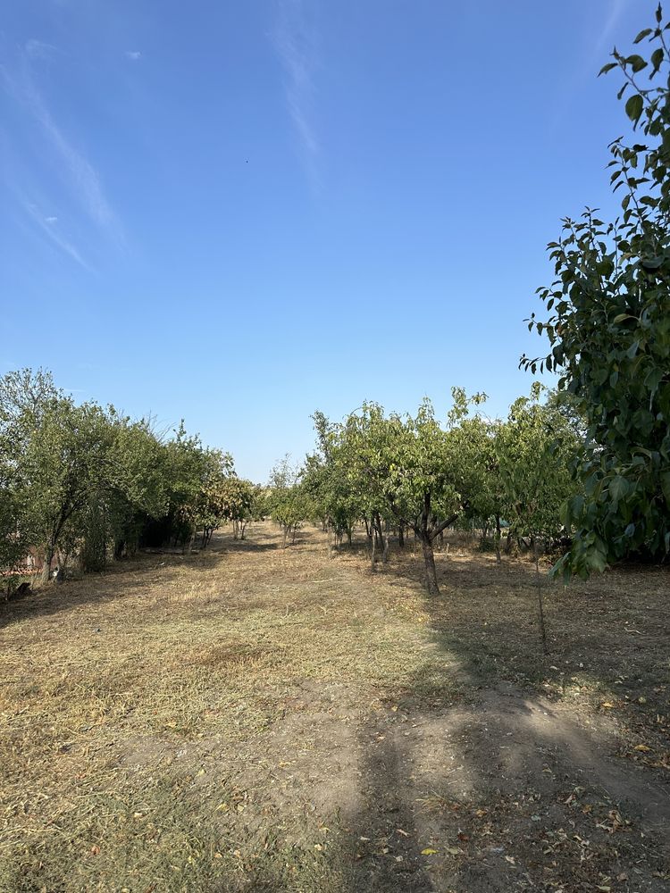 De vânzare casă cu 3000mp2.