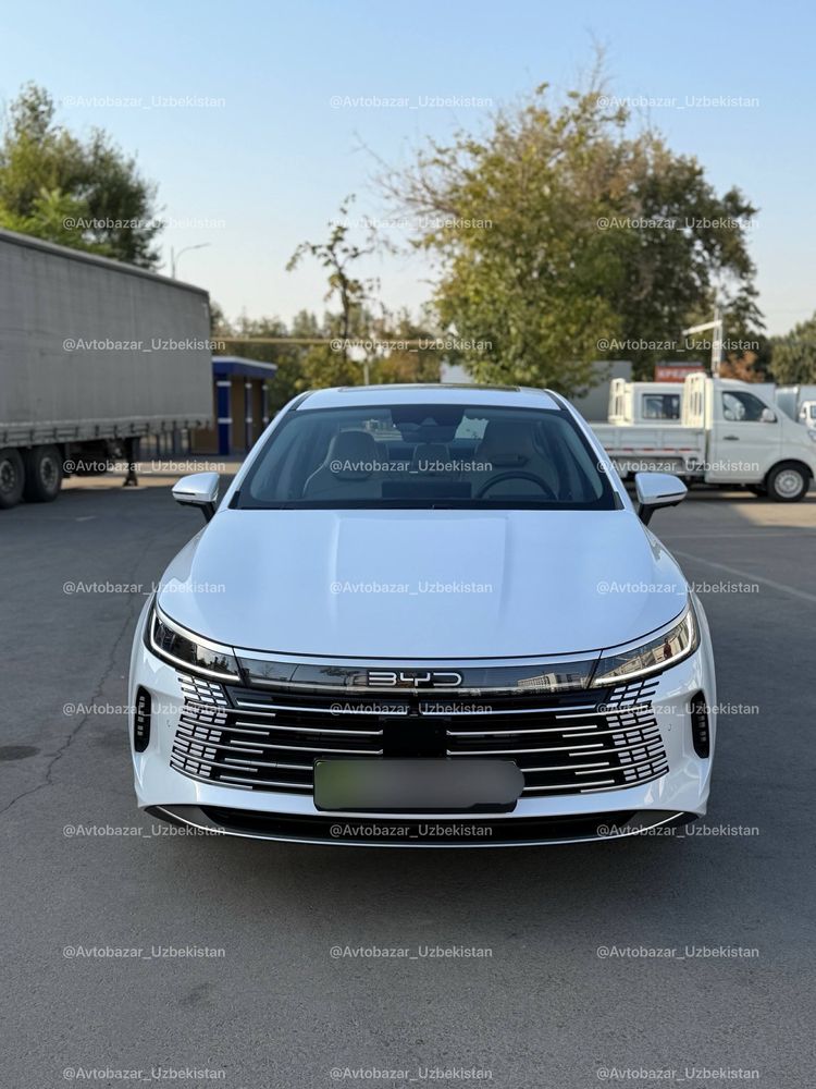 BYD Chazor Flagship•