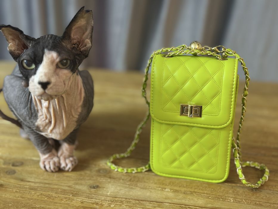 Lichidare stoc – Magazin închis!