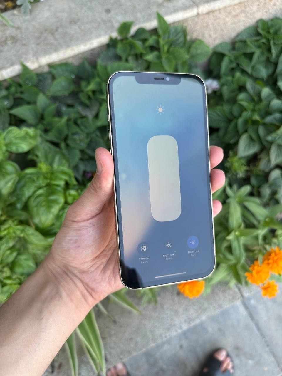 iPhone 12 Pro max bez face holati ideal