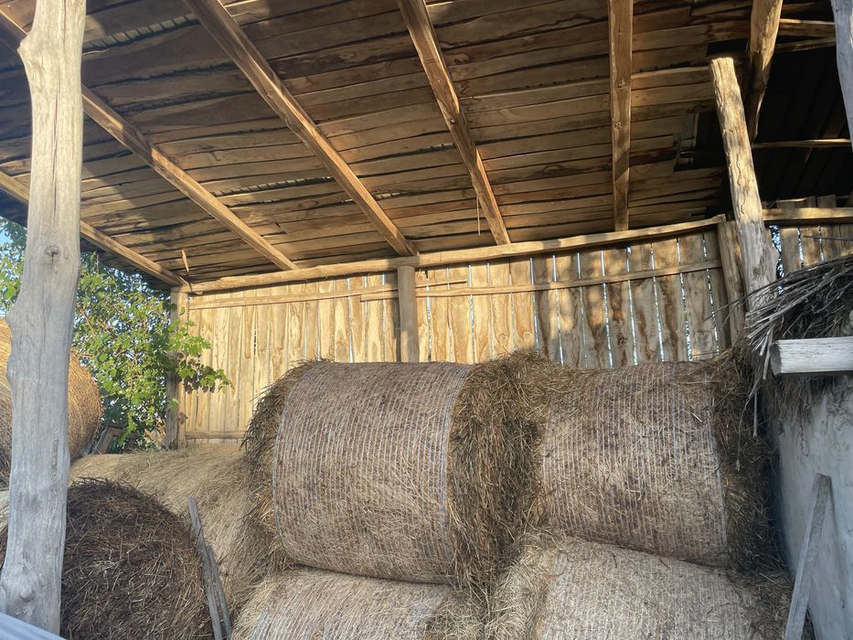 Baloti de lucerna si trifoi