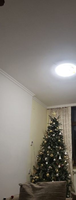 Елка для праздника