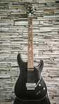 Chitara electrica Schecter Damien Platinum 6 EMG Floyd Rose Sustainer
