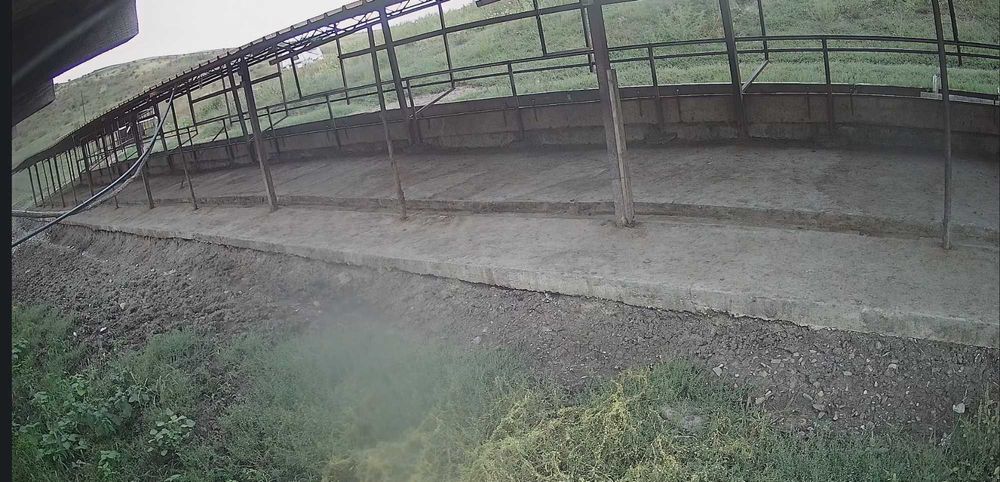 Ferma de vanzare judet Botosani