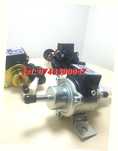 Pompa Electrica 12v De Alimentare Diesel  Benzina