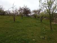 Casa + gradina (Cacova Ieri )