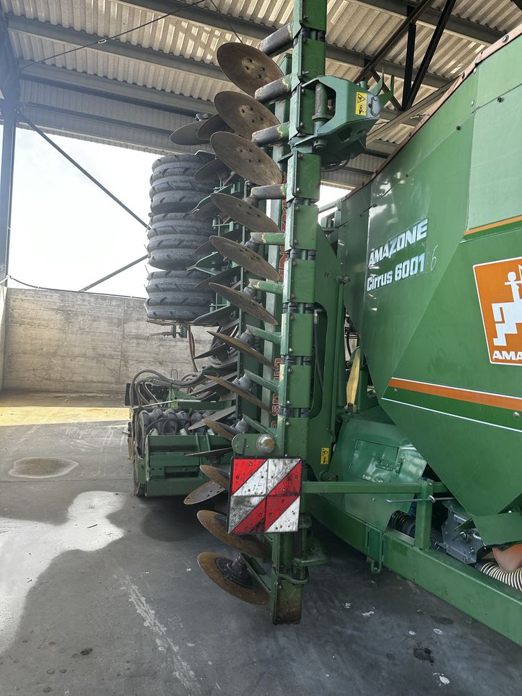 Vind semanatore amazone