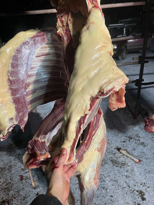 Согым жабагы сатылады через веса