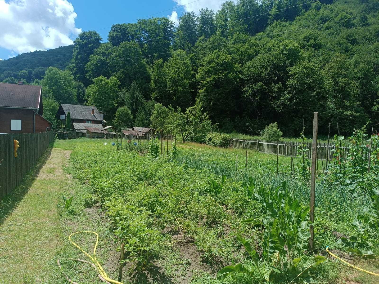Teren de vanzare in Praid,Harghita