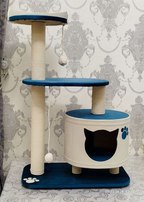 Кашачи доммики сотилади