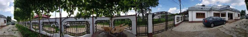 Gard Metalic Fier Forjat