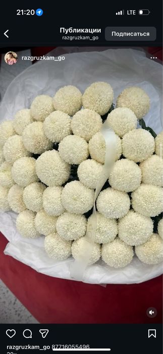 цветы свежие, сейчас в тренде, огромный, цветы Момоко