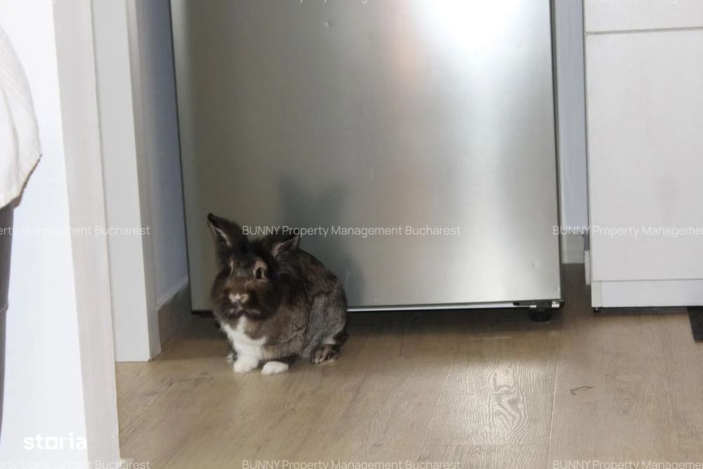 Hop Into Your New Home – 2-Room Apartment with Bubu & Babu!