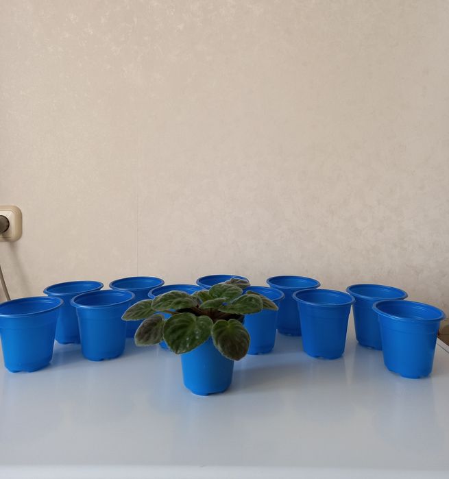 Прочные пластиковые горшочки для фиалок, суккулентов, рассады