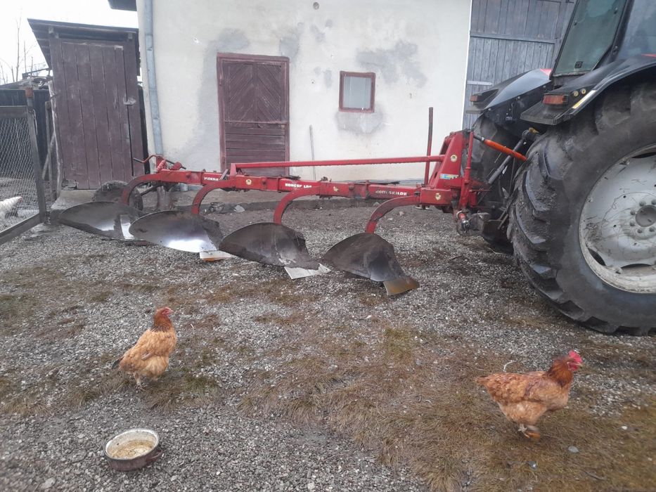 Vand  plug 3+1 cormane