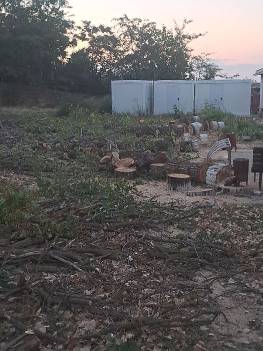 Curățare/Defrișări/Suprafețe/Tăiere Arbori/Rapid.