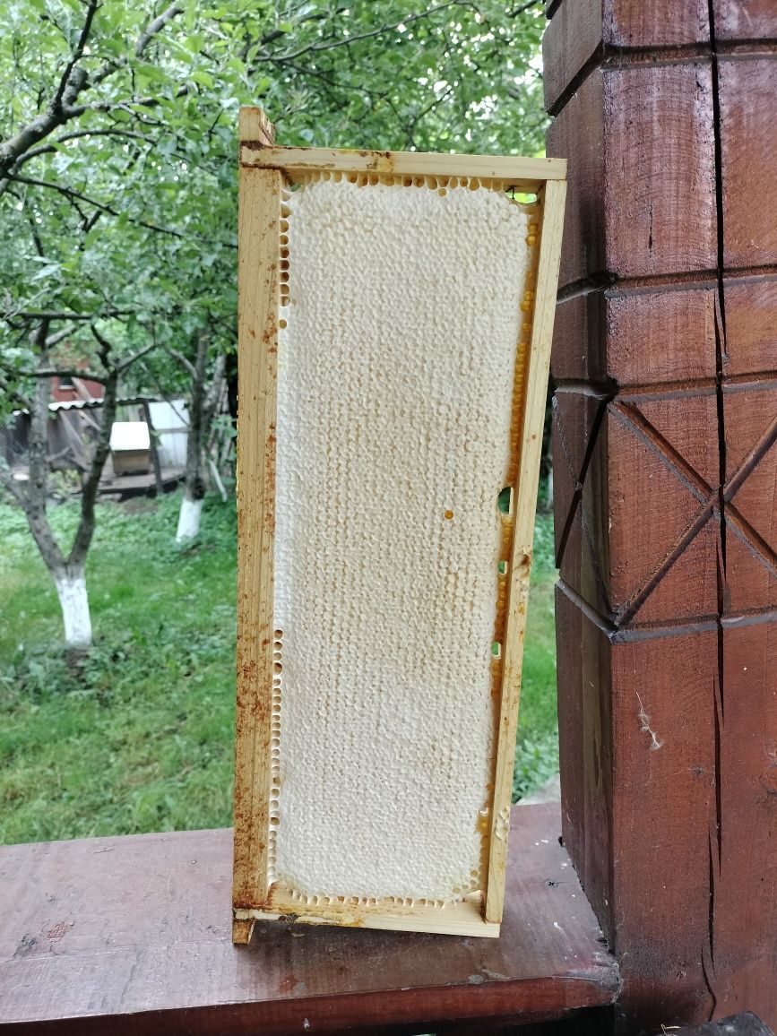 Vând miere de albine
