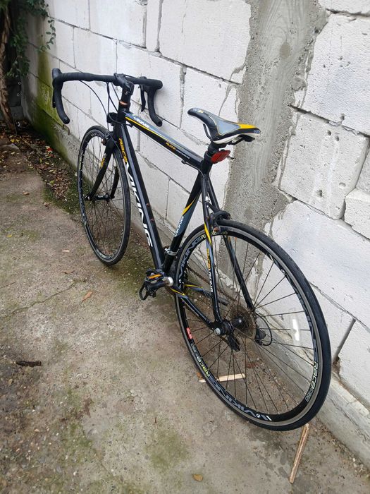 Bicicleta seme cursiera