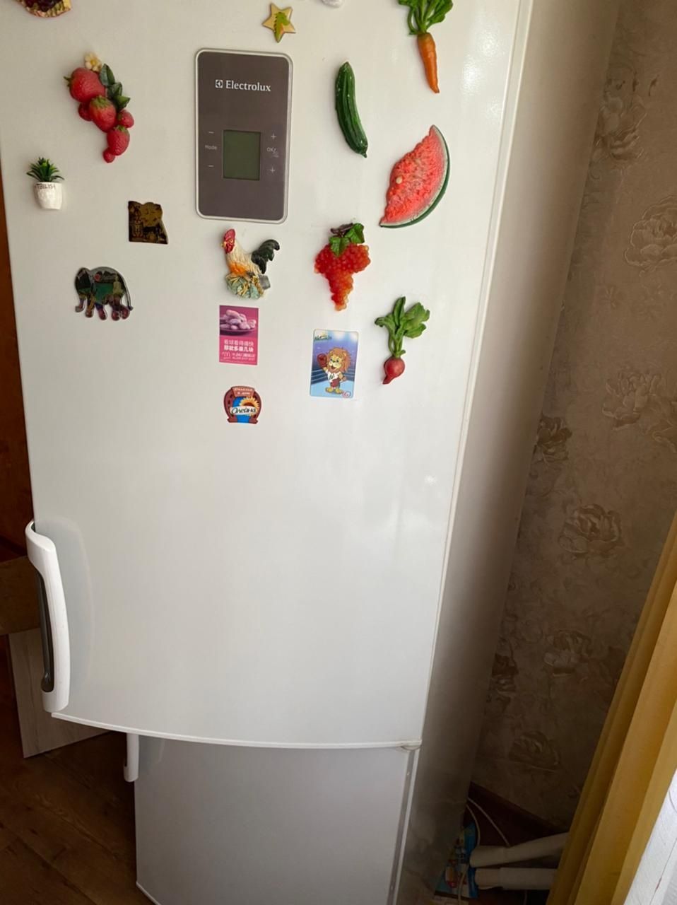 Ремонт холодильников Астана