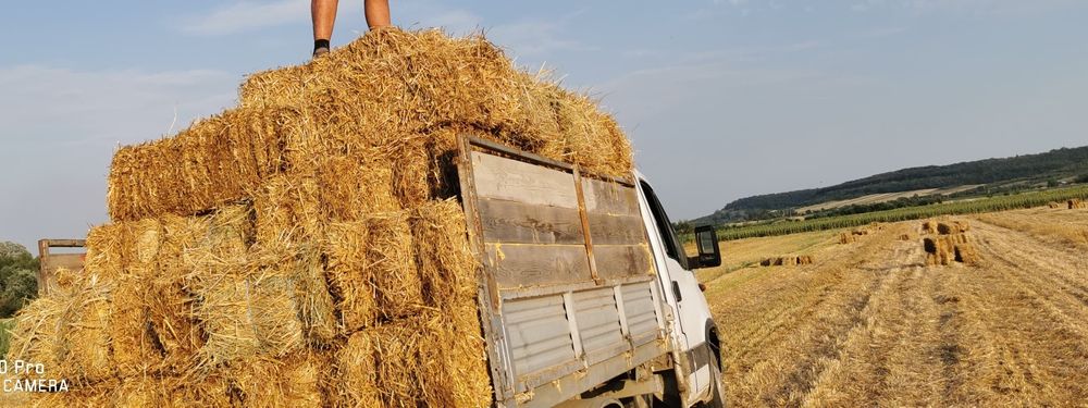 Vând baloti paie