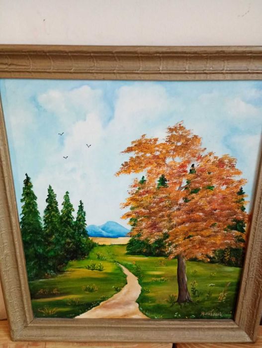 Пейзаж пътека в гората