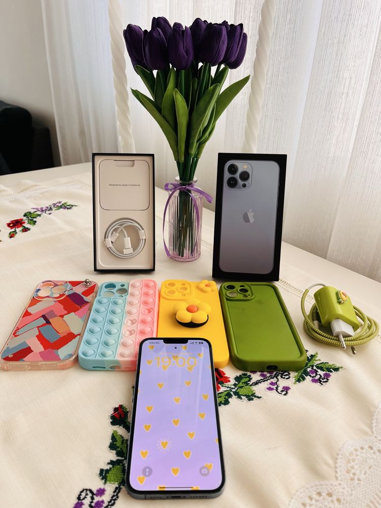Iphone 13 Pro Max 256 GB