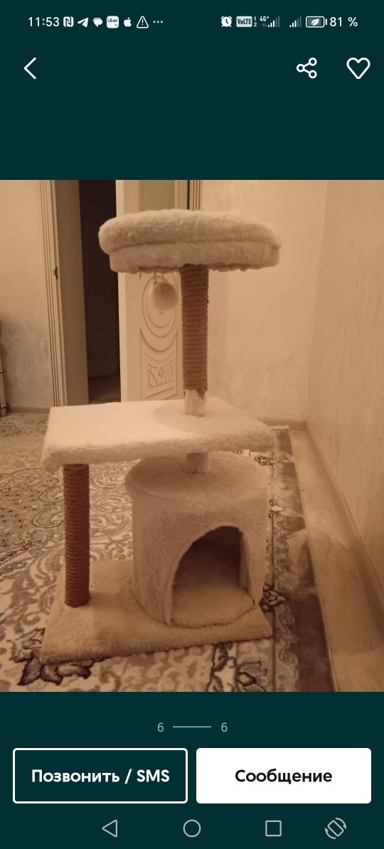 Кошкин дом в отличном состоянии