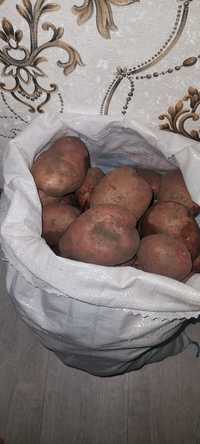 Домашняя картошка