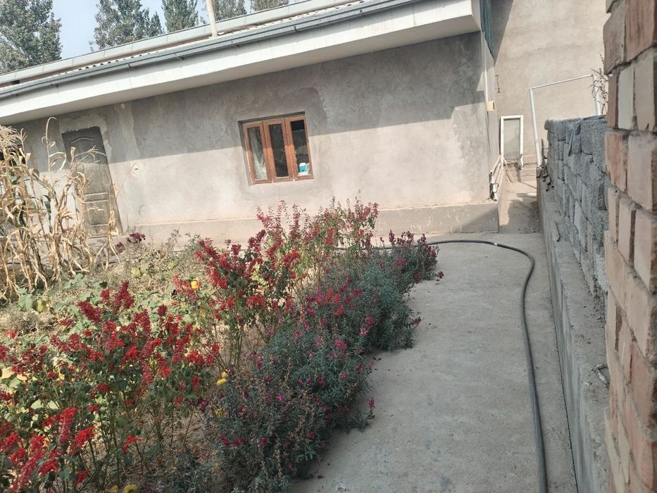 Uchastka sotiladi Bordonkul tomonda