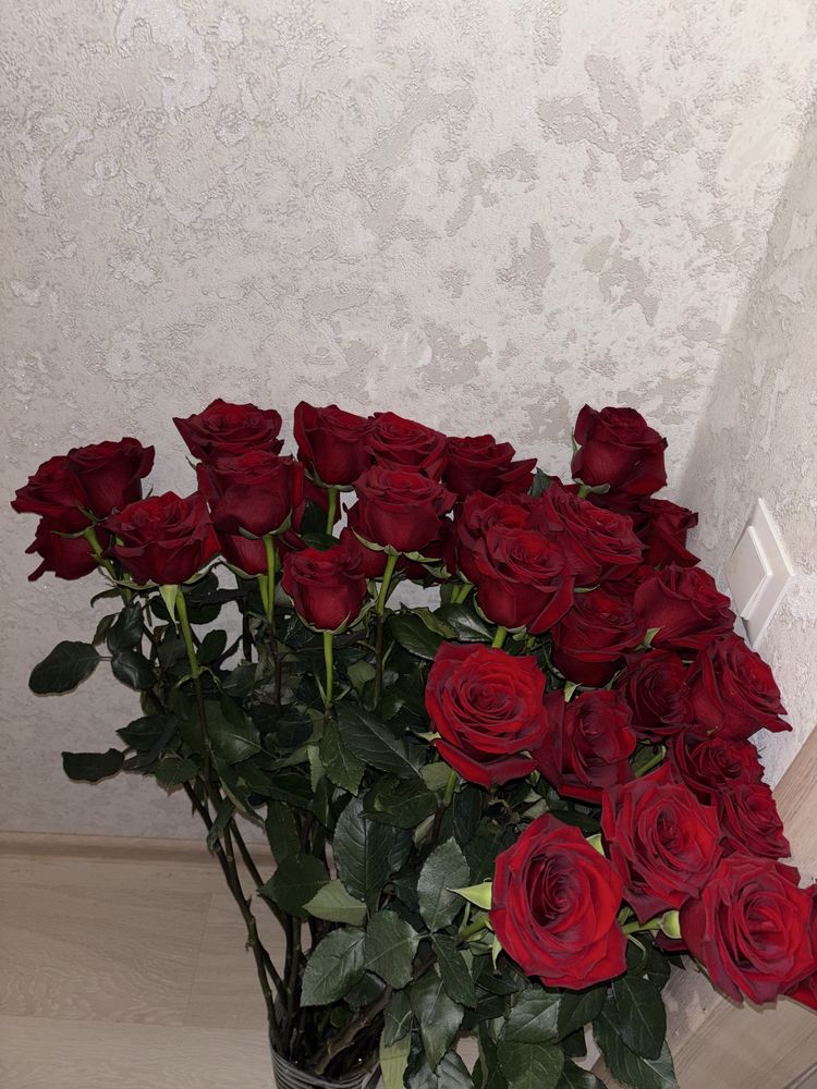 Продам 100 роз 1 метр , 2 дня стоят