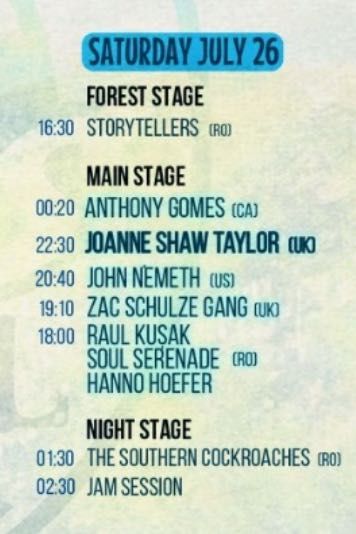 4x Bilet Sâmbătă la Open Air Blues Festival Brezoi 2025 - 300 RON buc