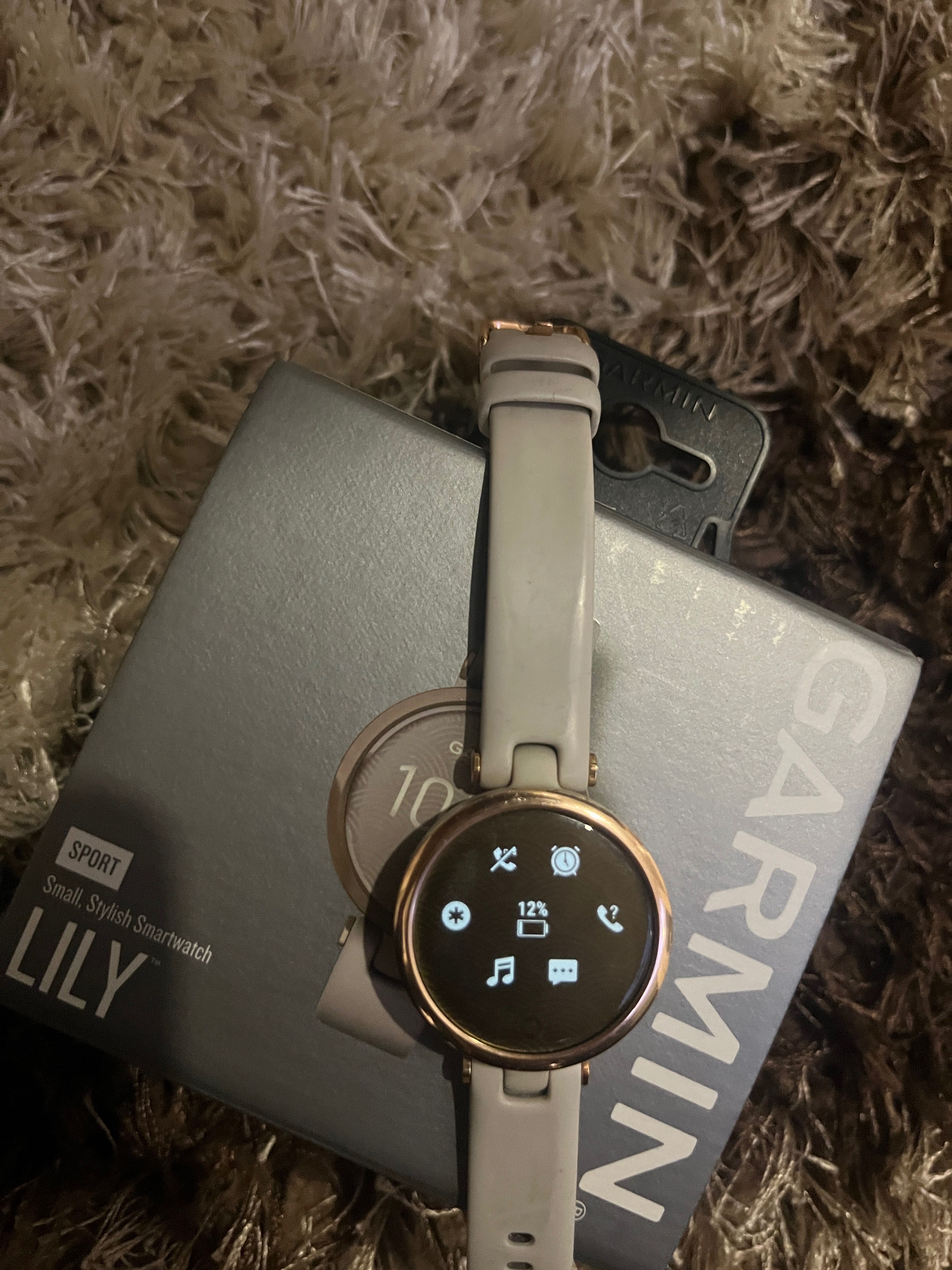 Smart watch Garmin Lily