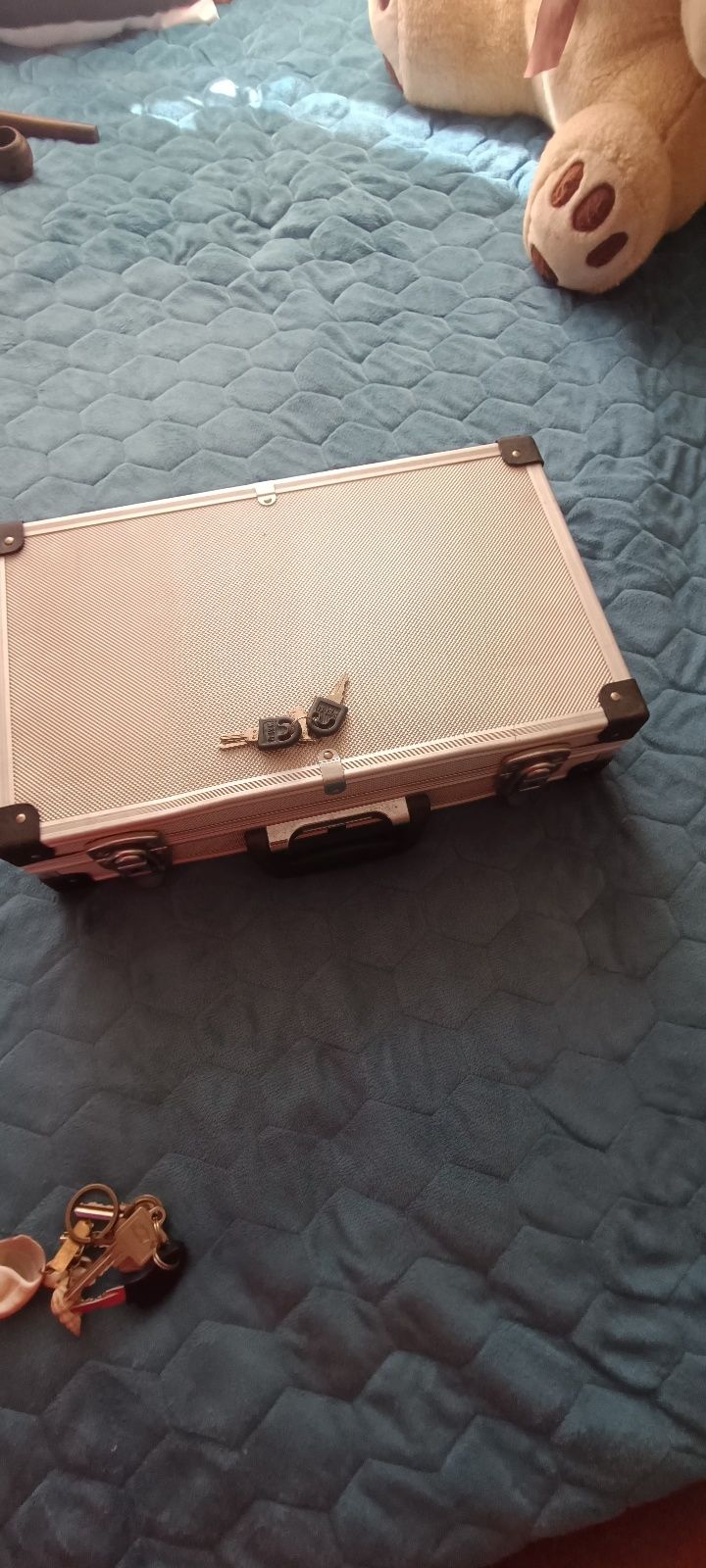 Cutie aluminiu (flycase)