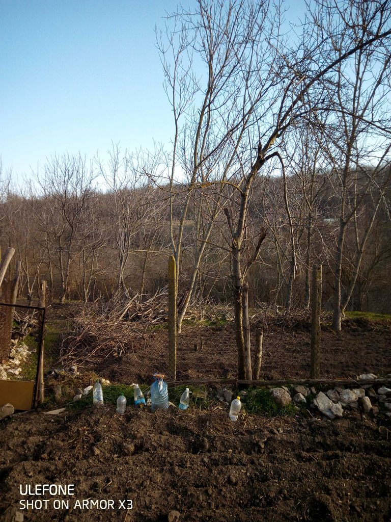 Продава се Къща в Силистра, Изток - 60 кв.м за 104 €/кв.м - Снимка #5