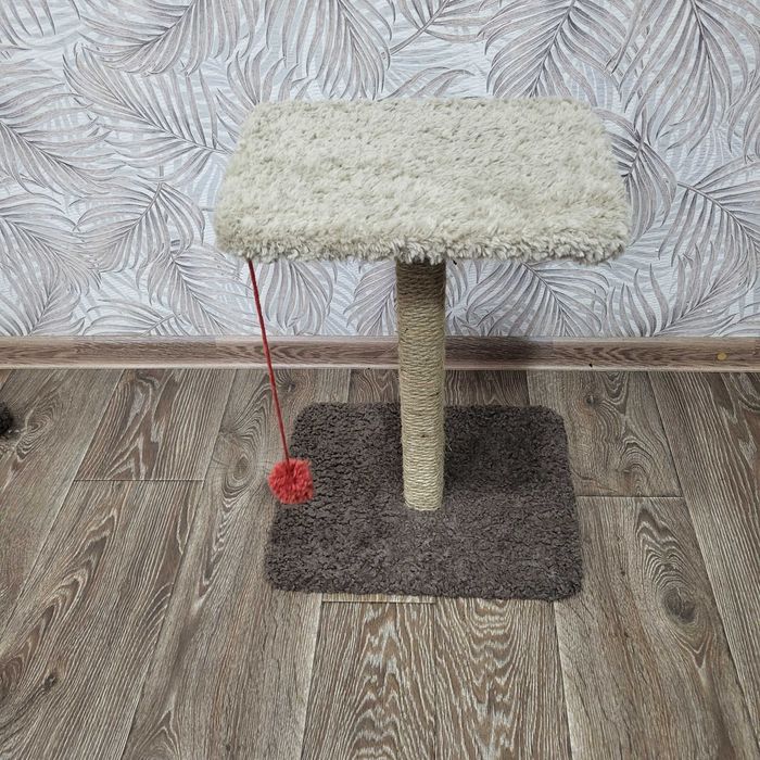 Когтеточка для домашних питомцев