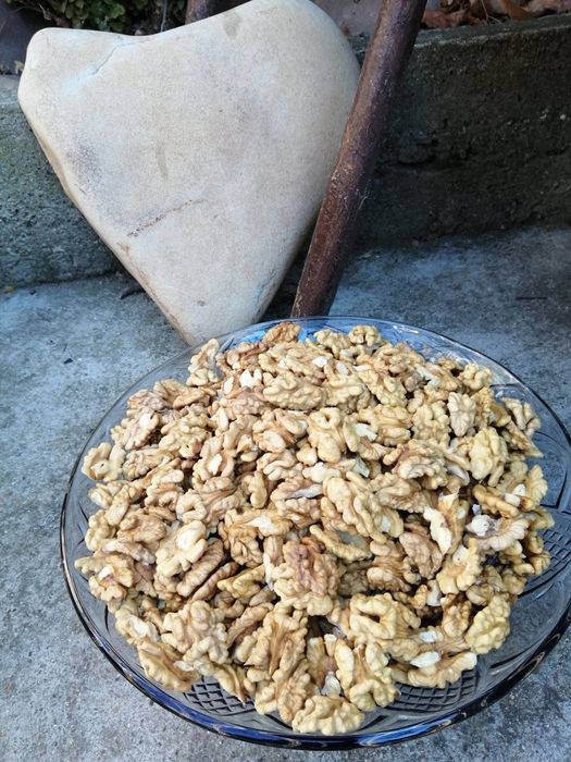 Орехови ядки от Сливенско село
