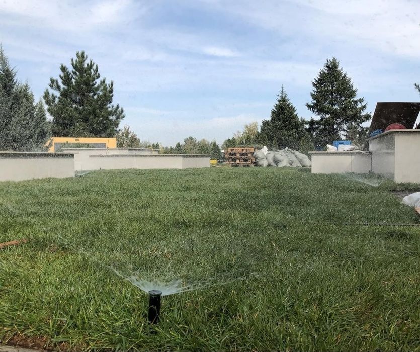 Газон посевной рулонный