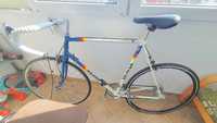 Bicicleta Raleigh Team Panasonic 1983