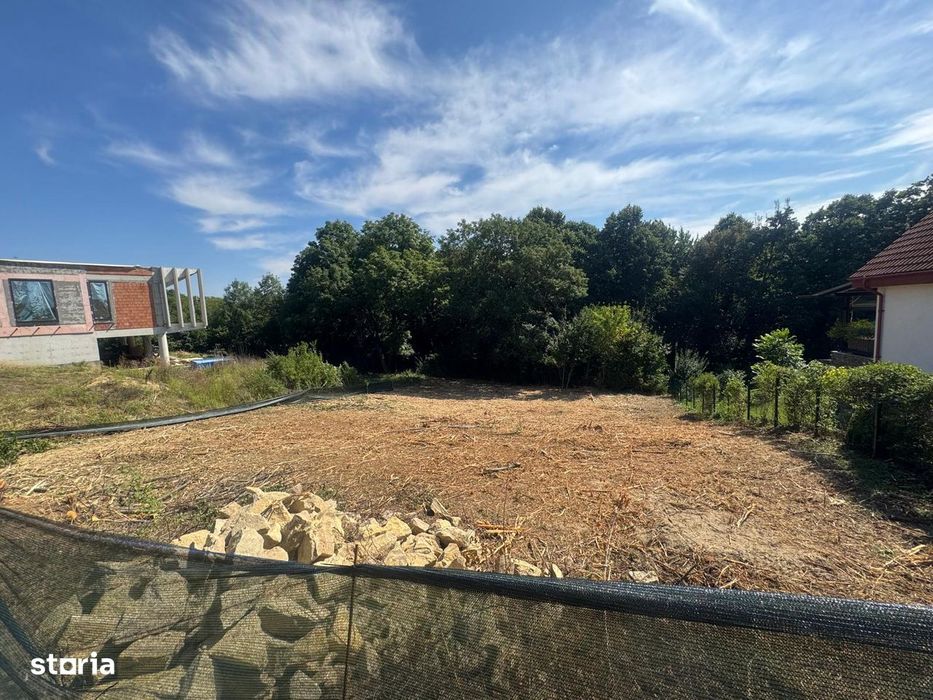 1000 mp Bucium spre Barnova , in padure , intre vile noi