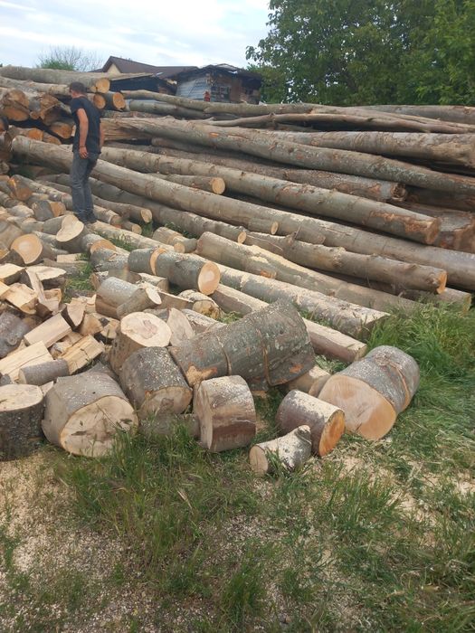 Vând lemne de foc la palet tăiate sparte Aduse acasă  fag