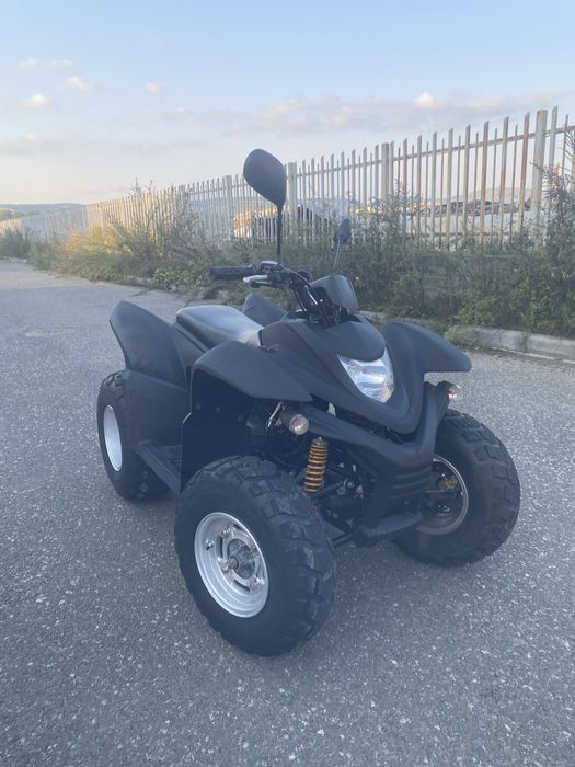 Vand atv mistral 110