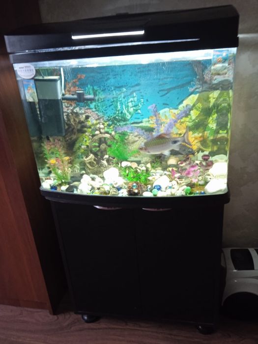 Продам аквариум с рыбками