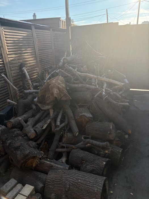 продам дрова не рубленые на самовывоз