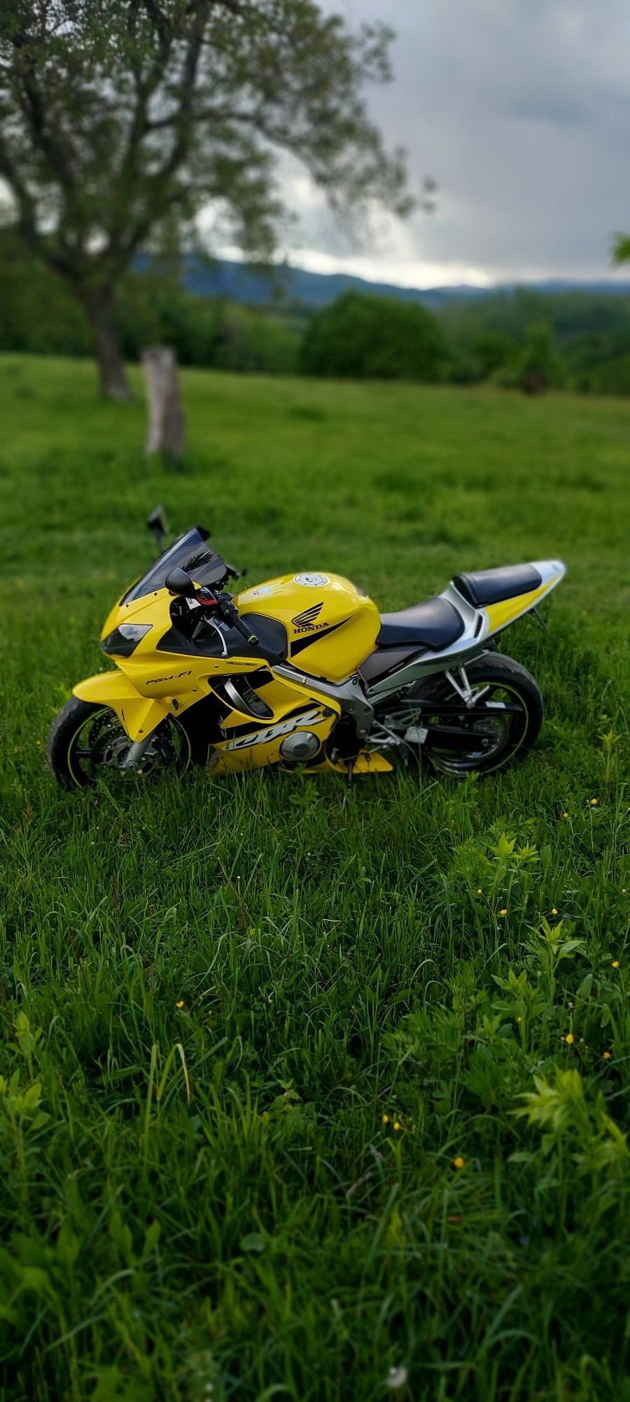 Honda cbr 600 f4i